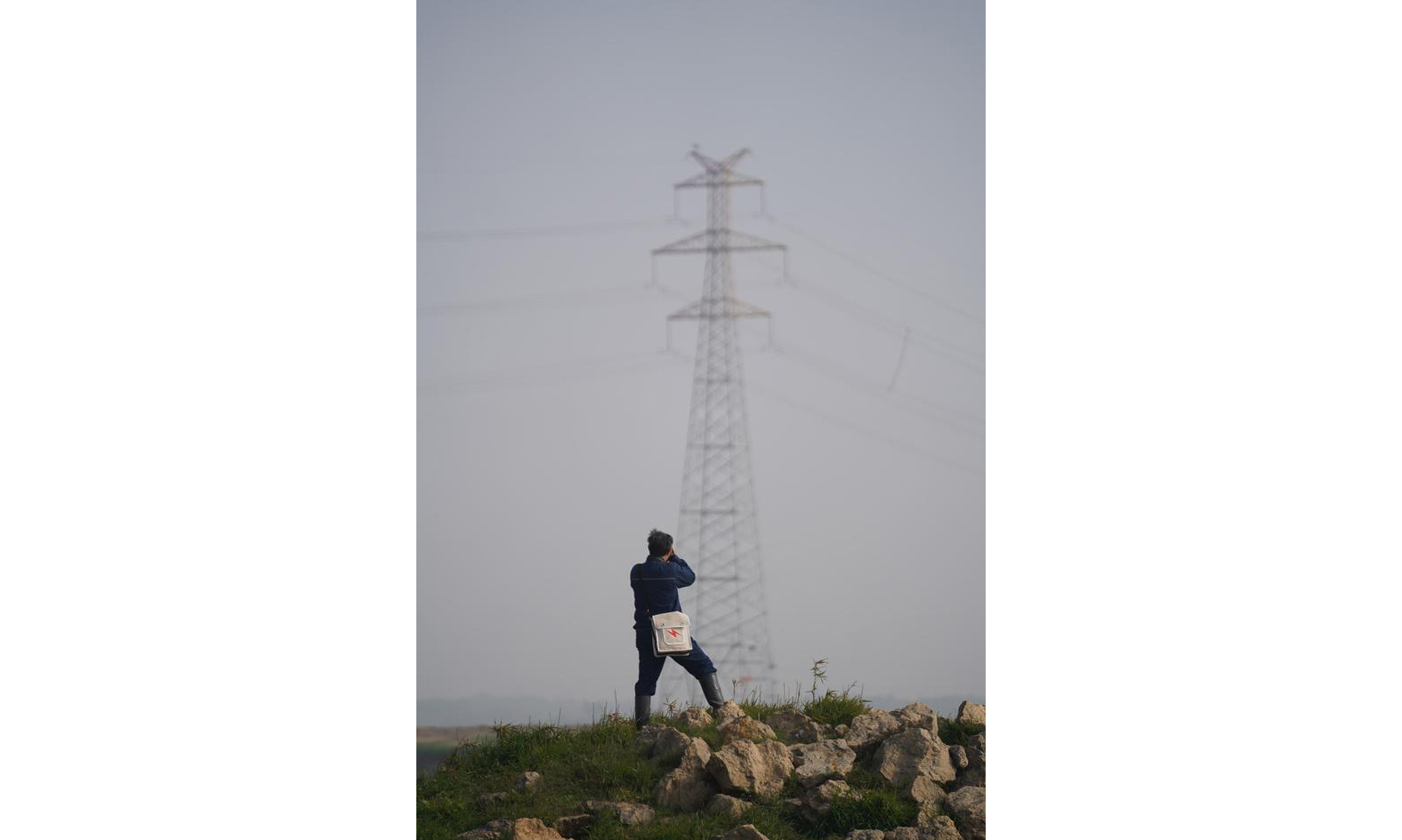 图为12月12日，电力工人在远处观察铁塔上的鸟巢。（新华社记者 周密 摄）