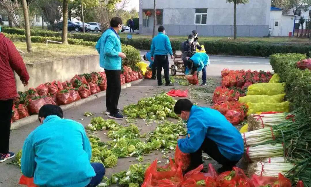 新冠肺炎疫情以来，中光学于细微处创造条件关心关爱员工，为复工人员供应新鲜蔬菜，截至目前先后发放各类蔬菜共计12万千克。 