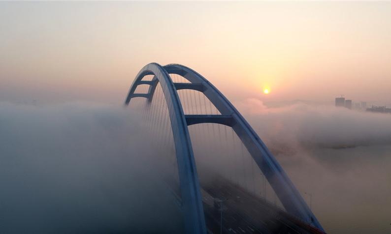 柳州官塘大桥横跨柳江，水中不设桥墩，跨度达457米，整桥主线全长1155.5米，桥面由148根吊索与上方的两条拱座相连。图为11月27日拍摄的广西柳州官塘大桥。新华社发（黎寒池 摄）