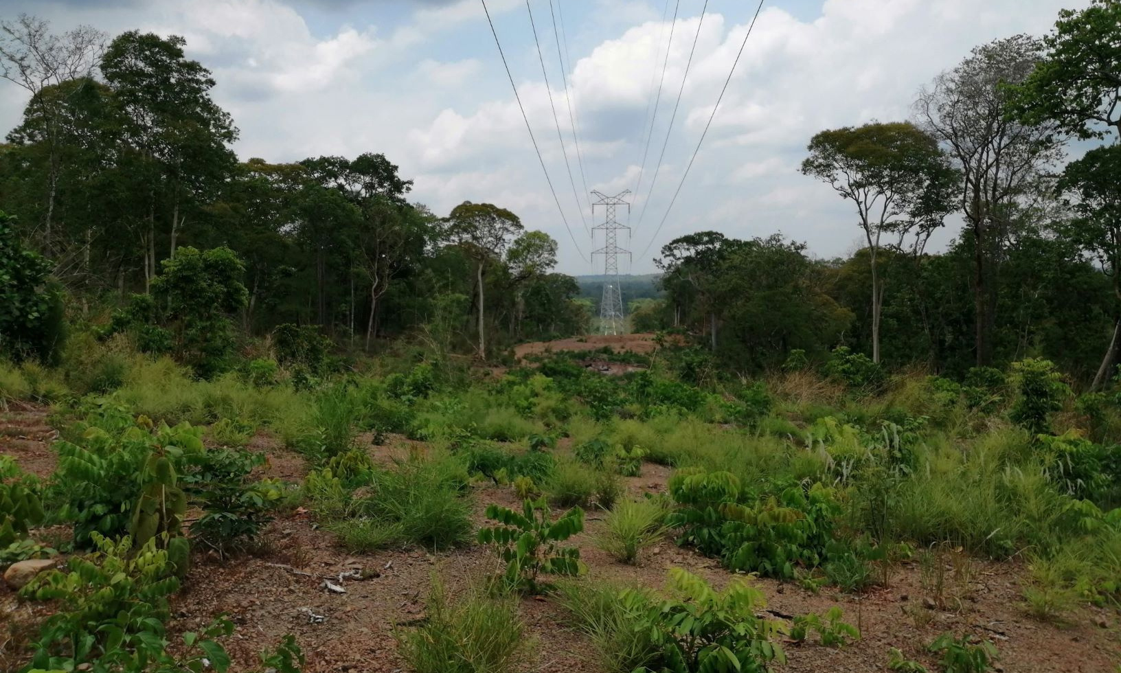 实现带电运行的桔井—蒙多基里线路采用同塔双回双接地，途径山区、森林，地形复杂，设备运输困难。
