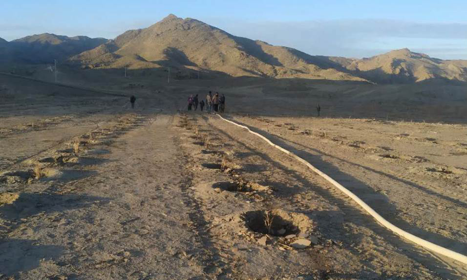 新疆阿勒泰市周边地质环境急剧恶化，荒漠化程度加剧。2019年9月，中国地质因地制宜，在新疆阿勒泰周边开展了地质环境生态修复治理项目，拉运和铺筑废石7万立方米，平整场地6万平方米，种草修复5.84公顷，并利用废石料砌筑多处景观，在达到固沙目的的同时丰富了旅游资源。图为该项目开展治理前拍摄照片。