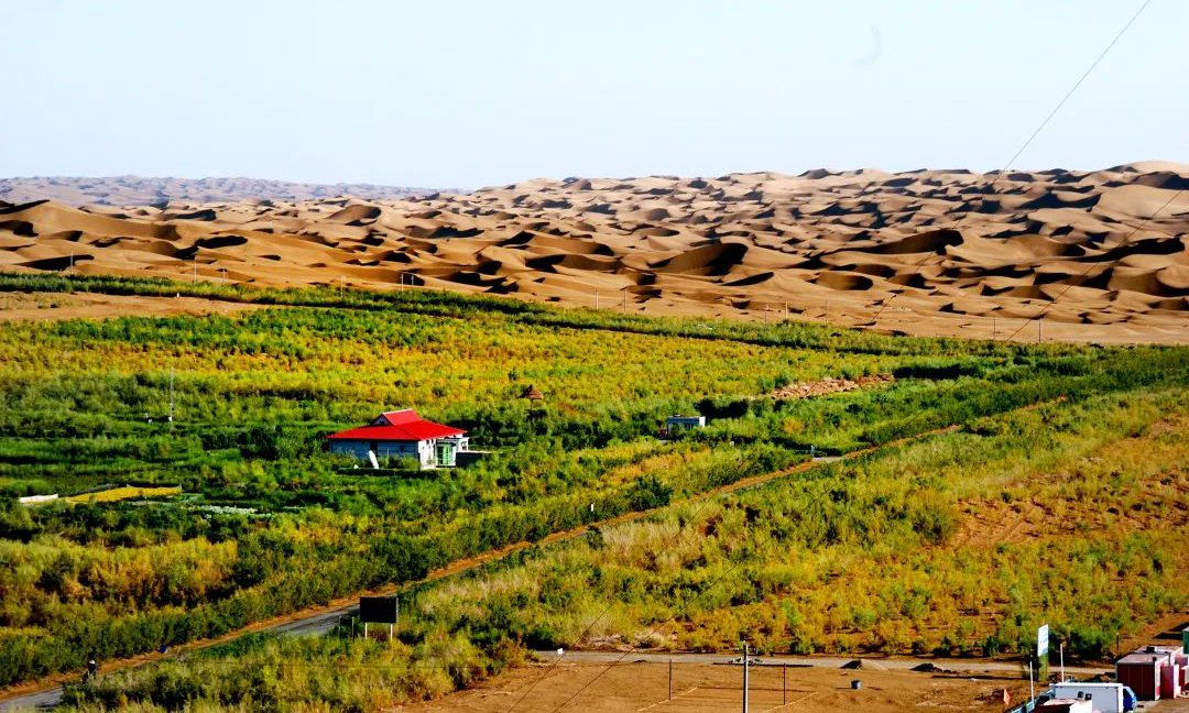 在新疆塔中沙漠腹地，塔里木油田与中国科学研究院合作研究，20余年来，通过从全球移植、育种耐盐耐旱植物，打造出独具特色的沙漠植物园，总面积达20余公顷，植物园中共有各类植物183种，其中包含数十种珍稀濒危植物，是全球唯一位于沙漠地区的沙漠植物研究基地。目前，塔里木油田基地周围总绿地面积达4276.53公顷，昔日荒芜的沙漠、戈壁滩变成了绿意盎然的绿洲，绿化区内长期生活有塔里木兔、三趾跳鼠、新疆岩蜥、赤狐等47种动物，彰显人与自然和谐景象。