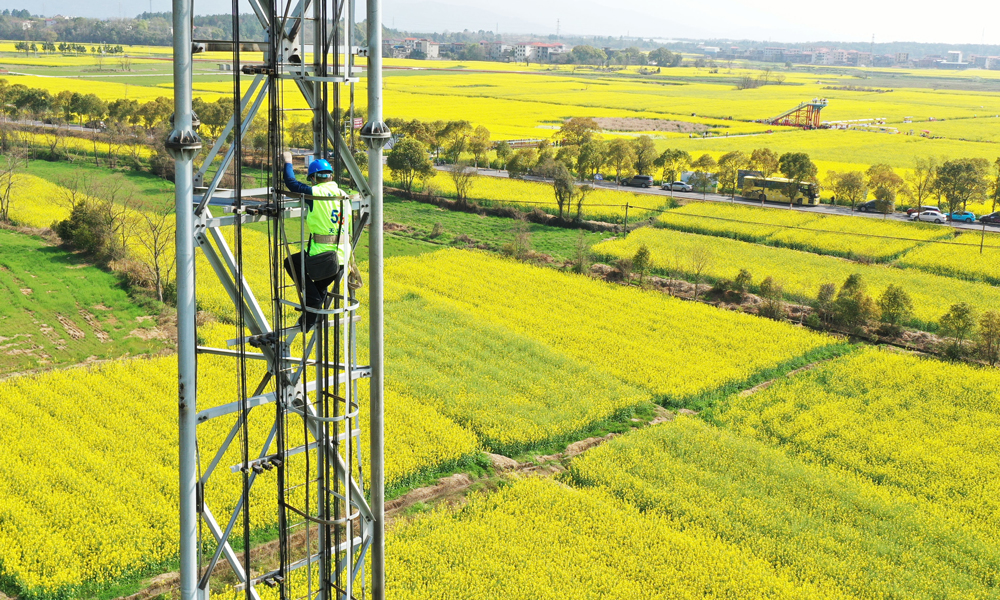 在乡村的油菜花海中，中国电信无线网络工程师，爬上40余米高的通信基站上作业，勾勒出乡村振兴的美丽画卷。