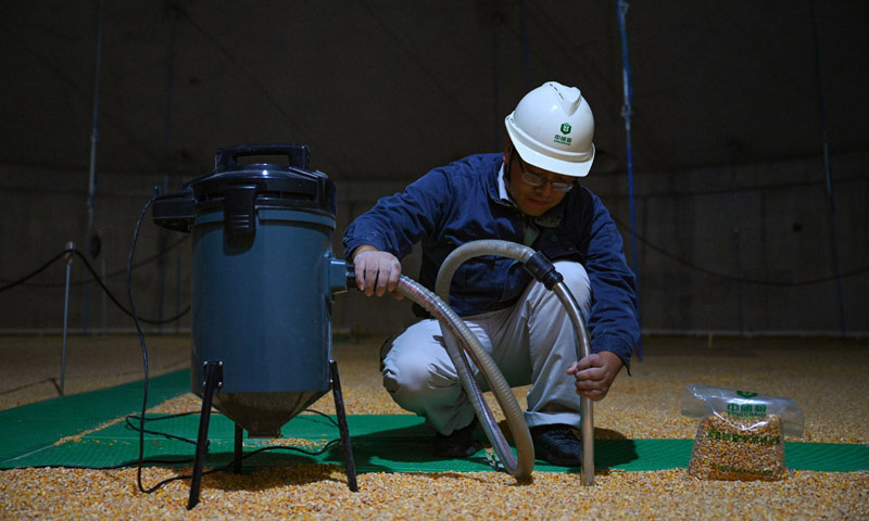10月11日，中央储备粮长乐直属库的工作人员在浅圆仓内对玉米进行取样。新华社记者 周义 摄