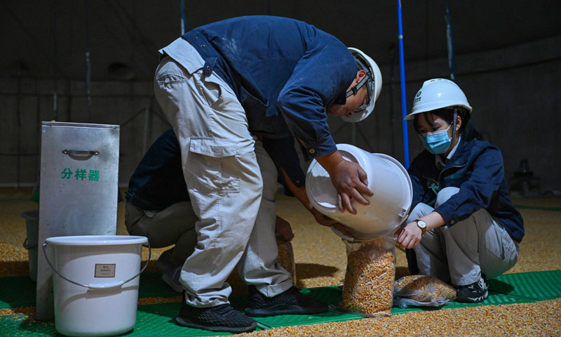 10月11日，在中央储备粮长乐直属库，工作人员在浅圆仓内对玉米样本进行分样。新华社记者 周义 摄