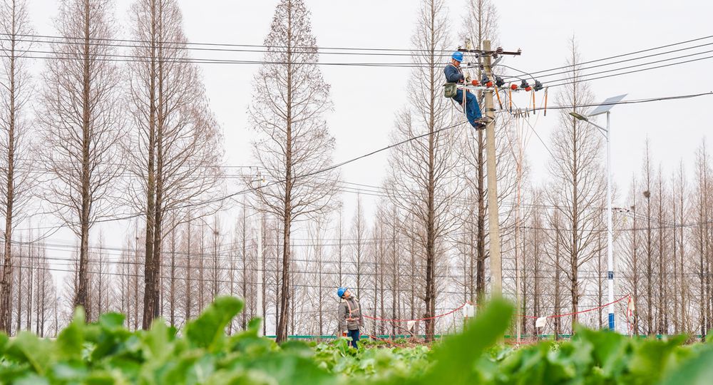 2月14日，安徽合肥巢湖供电公司工作人员在中垾镇10千伏太和集线1号杆上改造线路。
