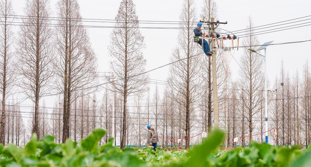 近日，国网安徽合肥巢湖供电公司员工改造10千伏线路。