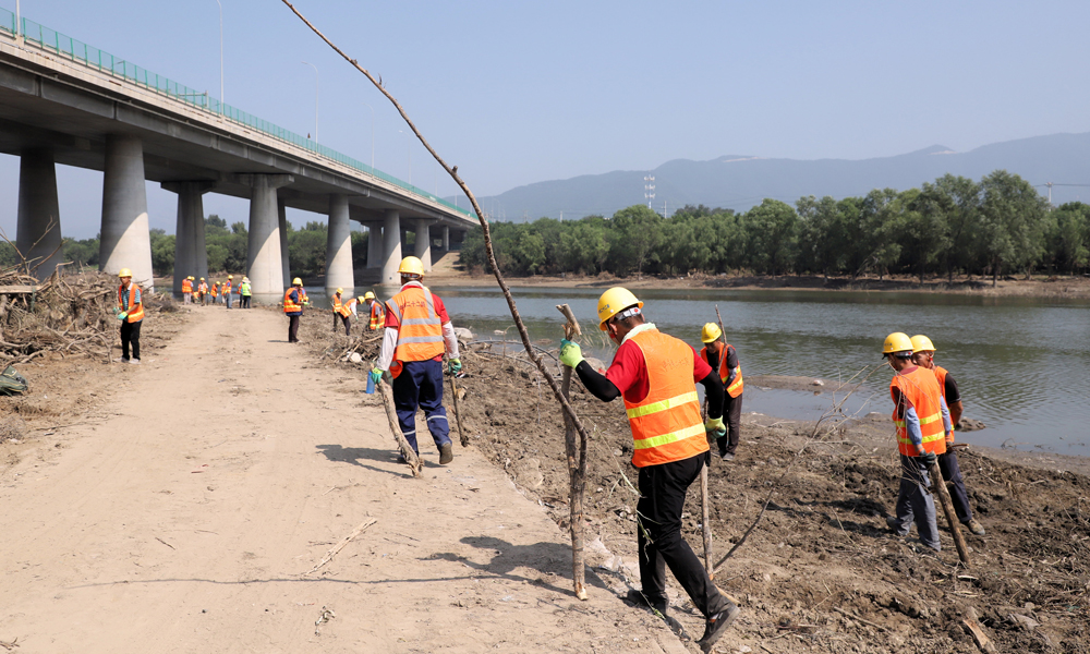 8月16日，中国铁建工作人员在清理被洪水冲刷的树枝。孟凡瑞 摄