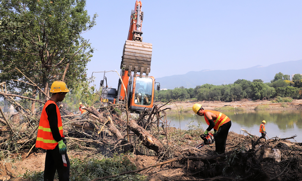 8月16日，中国铁建工作人员清理倒伏的树木。高晓雯 摄