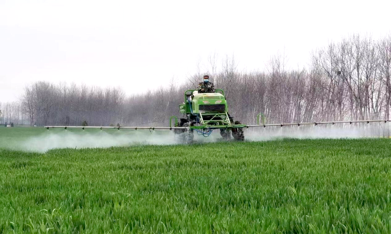 安徽华成种业永安良繁基地积极组织开展小麦繁殖田机械化化学除草工作，做好春季田管化除工作。