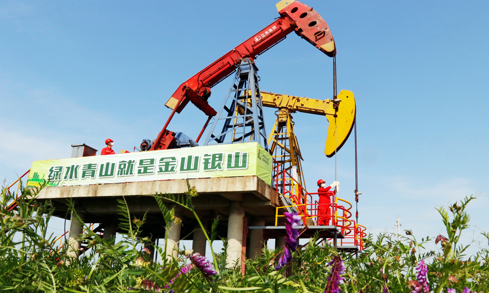 江苏油田采油二厂高集湖区工作场景。