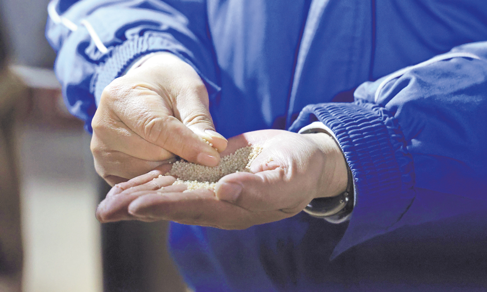 3月，中海化学华鹤公司年产30万吨绿色增值复合肥项目试生产成功，产出合格产品。梁玉欣 摄