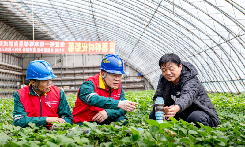国家电网蒙东通辽供电公司工作人员在草莓种植大棚检查电力设施情况。