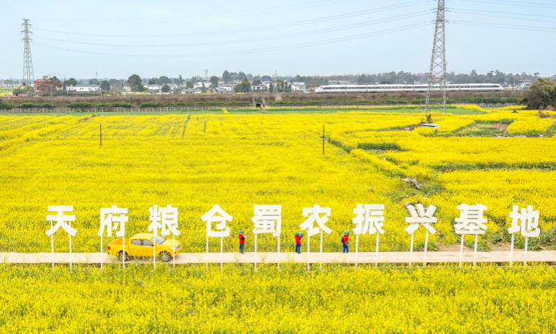 国家电网四川电力（成都崇州）连心桥党员服务队队员在天府粮仓开展线路特巡。