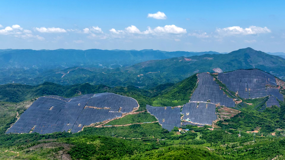 近日，国内单片区装机规模最大的山地柔性支架光伏项目——华能通山南林光伏复合发电项目正式投产发电。项目位于湖北省咸宁市，由中国华能旗下华中分公司建设，华能清能院自主设计及施工。项目总容量220兆瓦，其中柔性支架装机容量127兆瓦、单跨最大跨度51.4米。