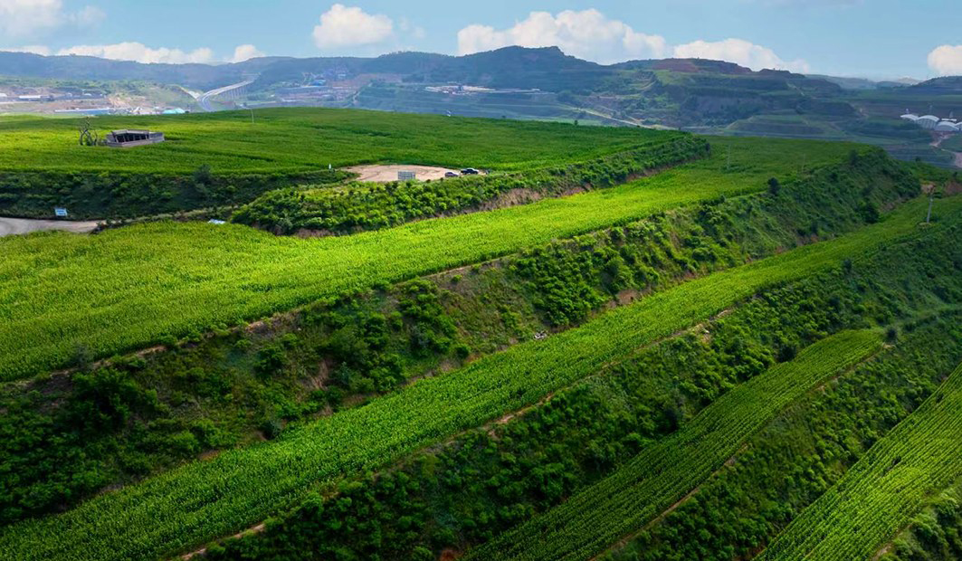 山西新材料矿区复垦区。