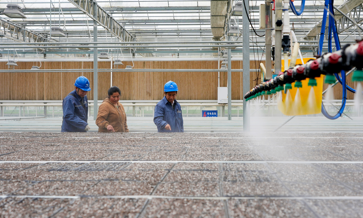在贵州毕节的马铃薯种薯培育基地，电力人员加密特巡频次、落实专人值守，为育苗生产提供可靠电力保障。