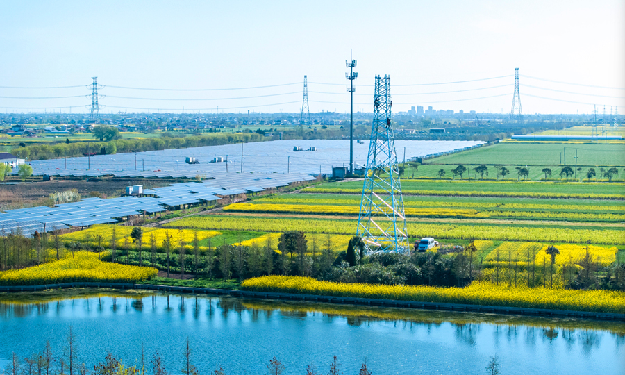 国网江苏南通供电公司员工在渔光互补光伏发电项目110千伏配套送出工程现场组立铁塔。