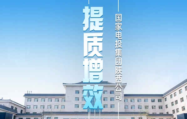 国家电投：锚定均衡发展 精准施策增效