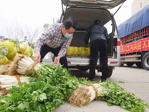 “基建狂魔”10万斤蔬菜运抵抗疫一线-国资论坛
