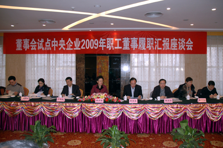 黄丹华出席董事会试点中央企业2009年职工董