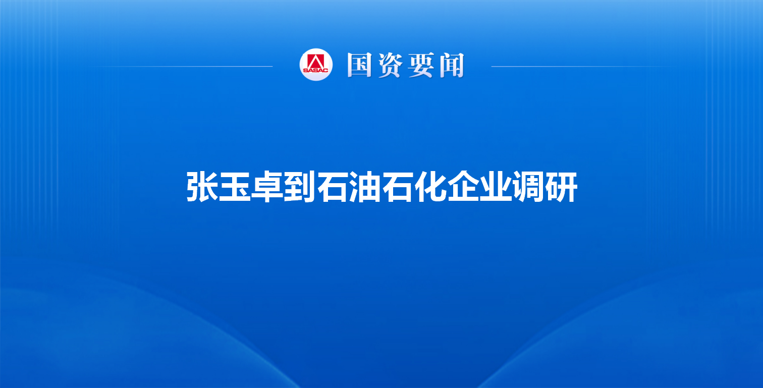 张玉卓到石油石化企业调研强调 强化提质增效加速转型升级 ...