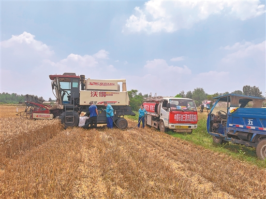 河南销售公司员工将油品送到田间地头，为农民抢收小麦赢得时间。 常乐 摄.jpg
