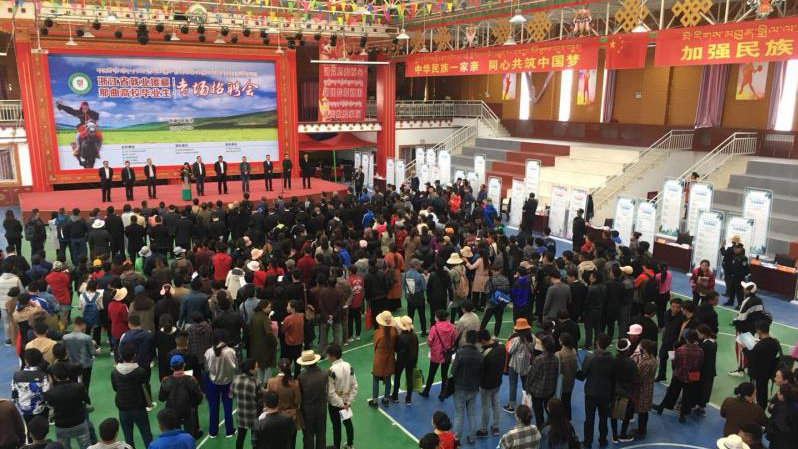 浙江省国资委组织省属企业赴西藏开展专场招聘