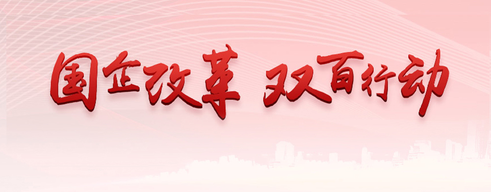 国企改革“双百行动”