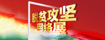脱贫攻坚网络展