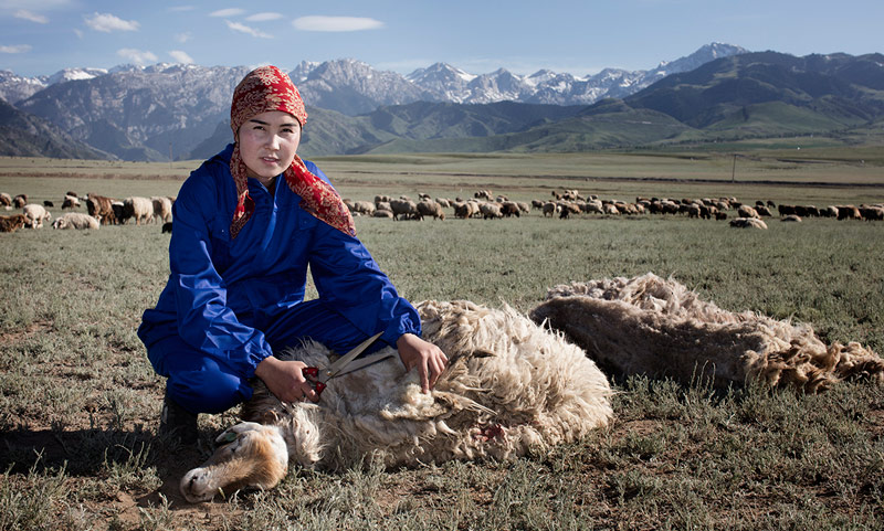 新兴际华集团有限公司30幅组图肖像摄影作品《中国女工塑像》将在2019年第八届欧洲摄影节上展出，集团公司员工、该组照片的摄影师燕苍娜将应邀出席3月17日在意大利米兰举办的开幕式。图为燕苍娜参展作品——新疆维吾尔自治区伊宁县农牧公司剪羊毛工肖像。