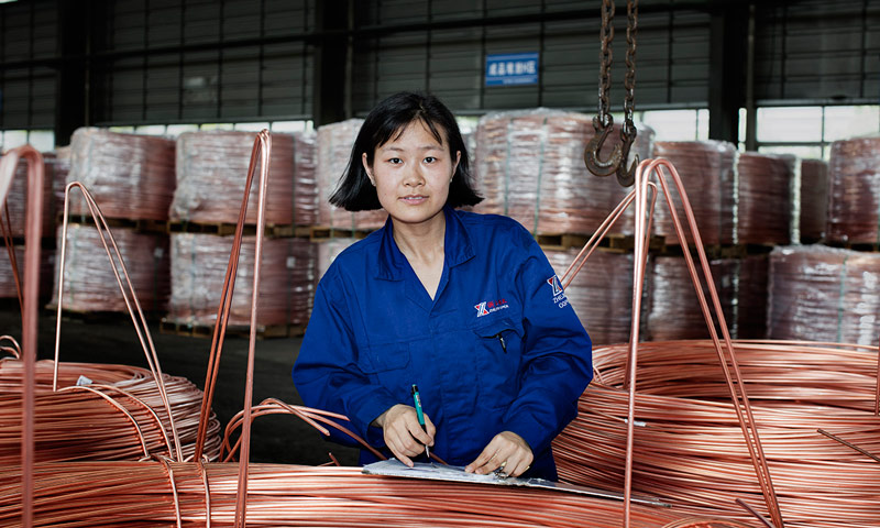 这组摄影作品中的一线女工所从事的职业包含了集团纺织、印染、服装、鞋靴、钢铁、机械、铸造、铜冶炼、建筑、食品、现代农牧等行业，展现了企业一线女工在工作岗位上或坚毅、或刚强、或乐观、或幸福、或自信的真实情景。图为燕苍娜参展作品——浙江省杭州市铜冶炼工厂库管员肖像。