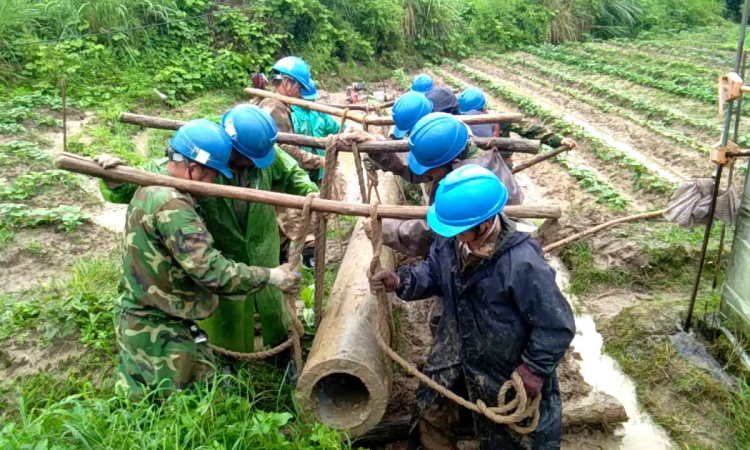 图为6月9日，福建清流县嵩溪镇10千伏各溪线出现倒杆断线。抢修时，供电员工决定人工搬运新电杆，避免破坏村民菜地。