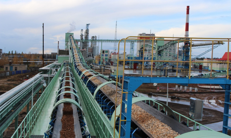 这是2017年10月29日拍摄的白俄罗斯斯维特洛戈尔斯克纸浆厂备料工段输送栈桥。新华社发（郭子杰 摄）