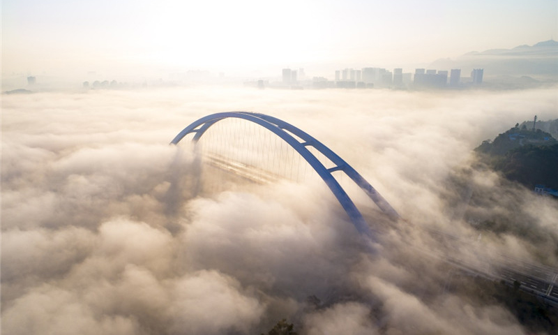 图为11月27日拍摄的广西柳州官塘大桥。新华社发（李斌 摄）