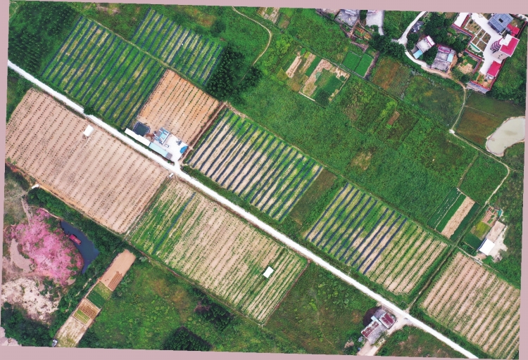 点亮乡村——南方电网超高压公司帮扶广东省河源市龙川县佗城镇亨渡村纪实-国资论坛