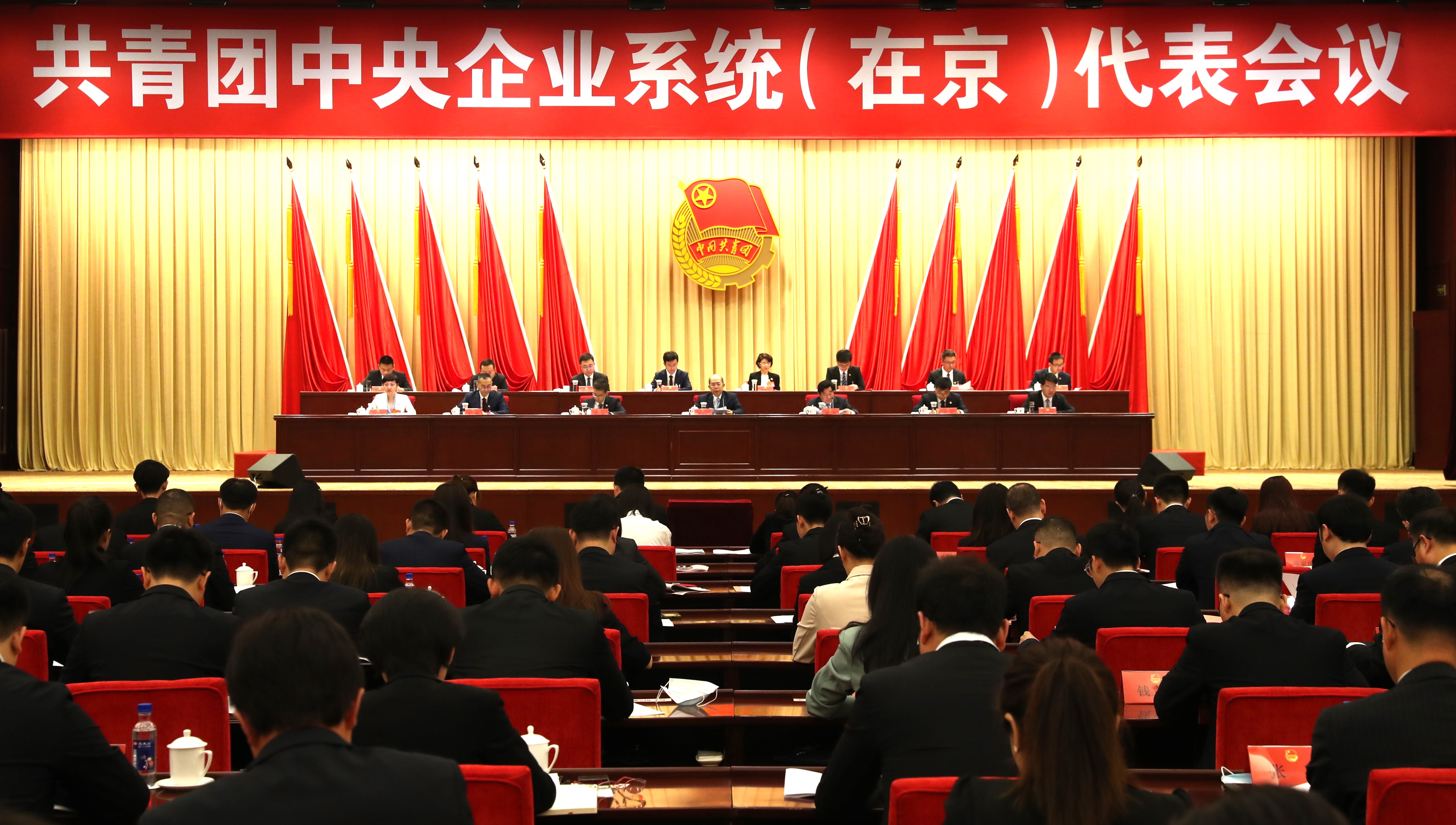 共青团中央企业系统（在京）代表会议在京召开