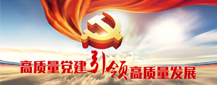 高质量党建引领高质量发展