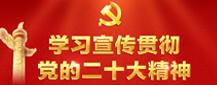 学习宣传贯彻党的二十大精神