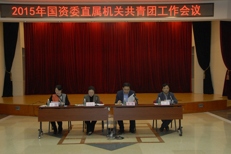 2015年国资委直属机关共青团工作会议召开